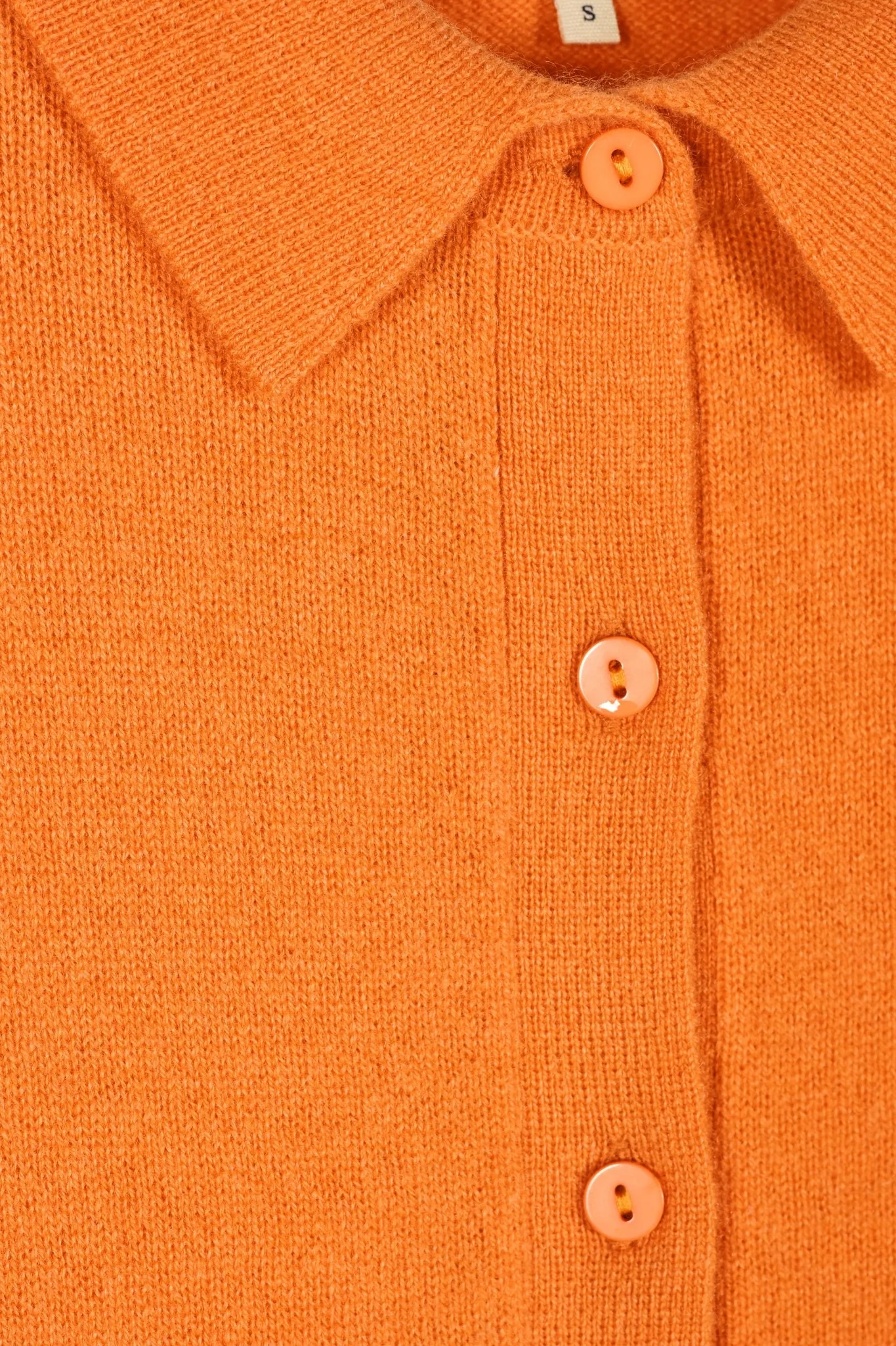 Picea Shirt - Image 16